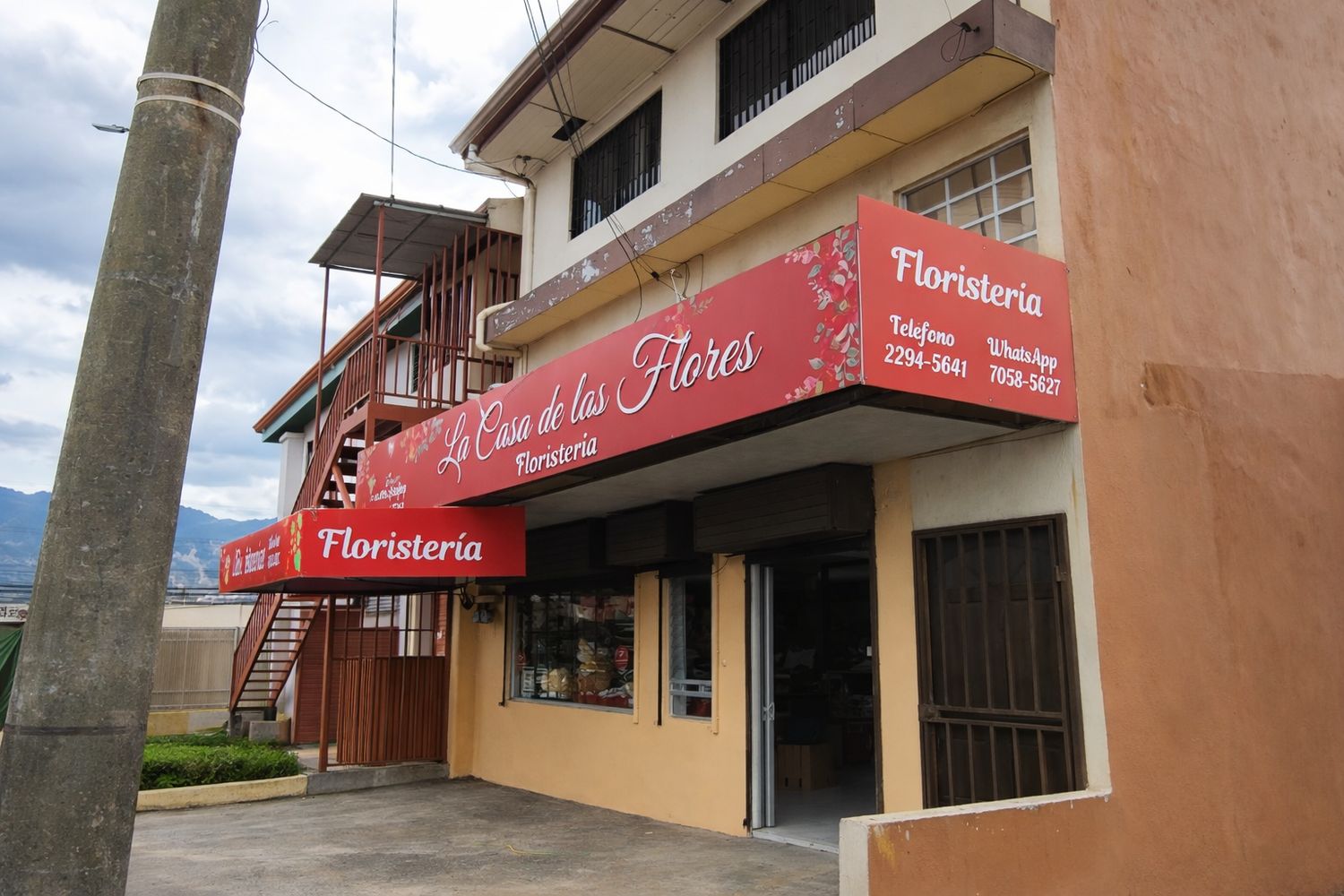 Precintas