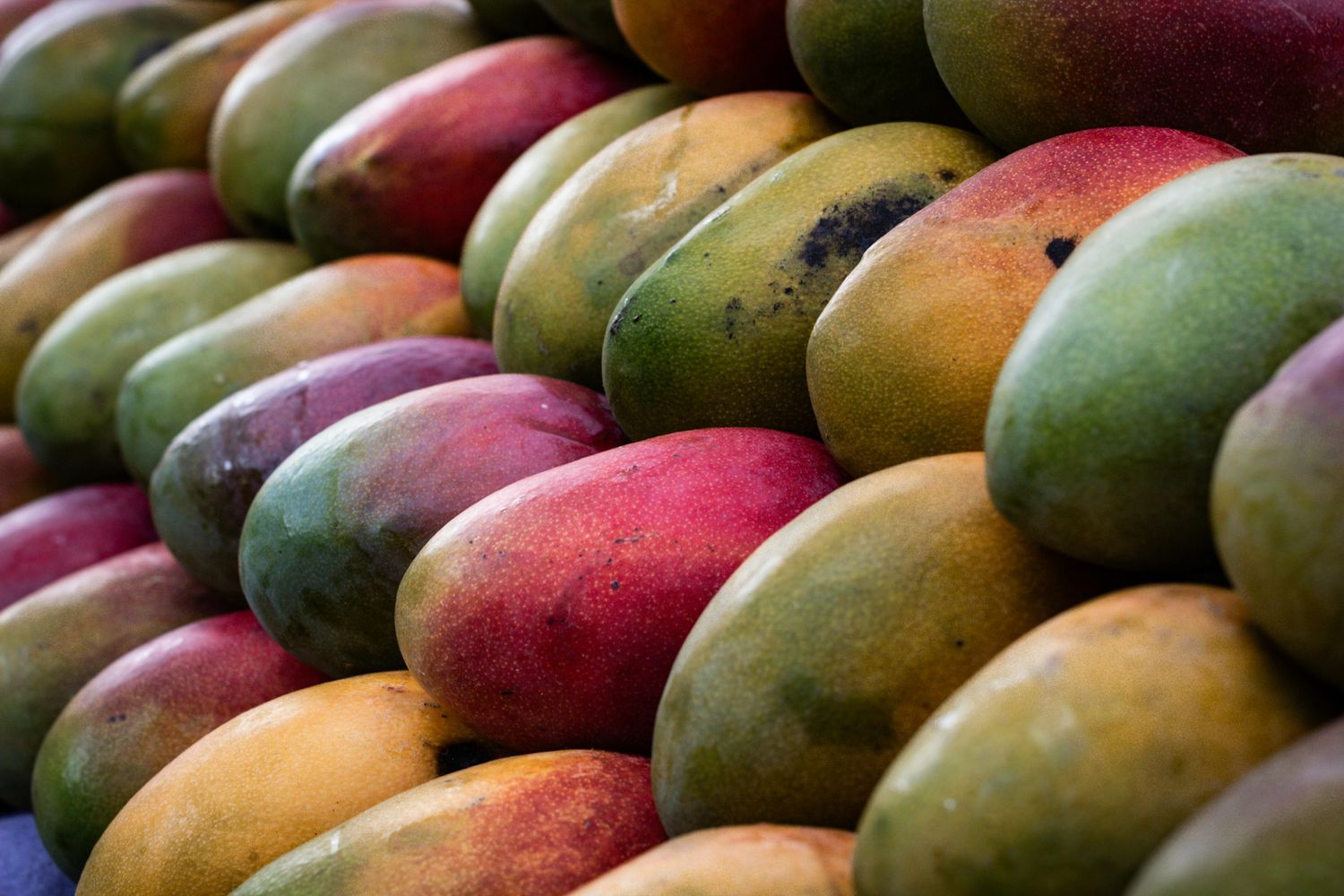 Kôso mangue