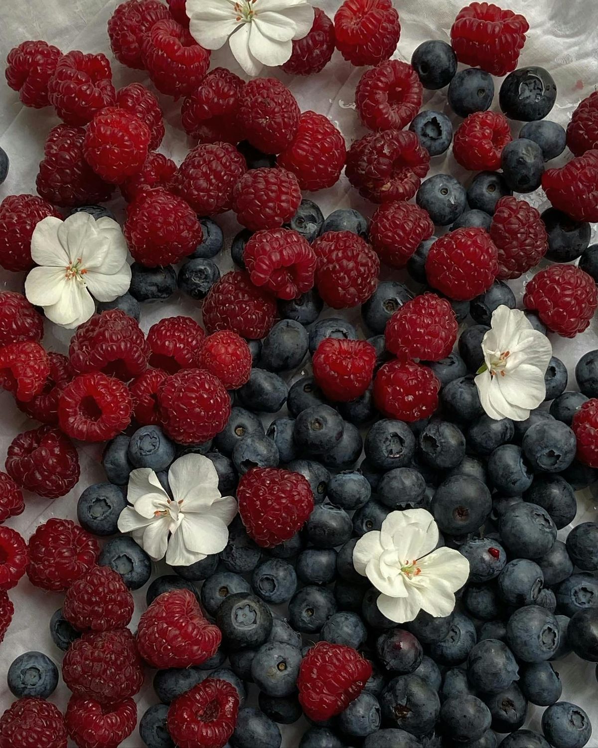 Kôso fruits rouges