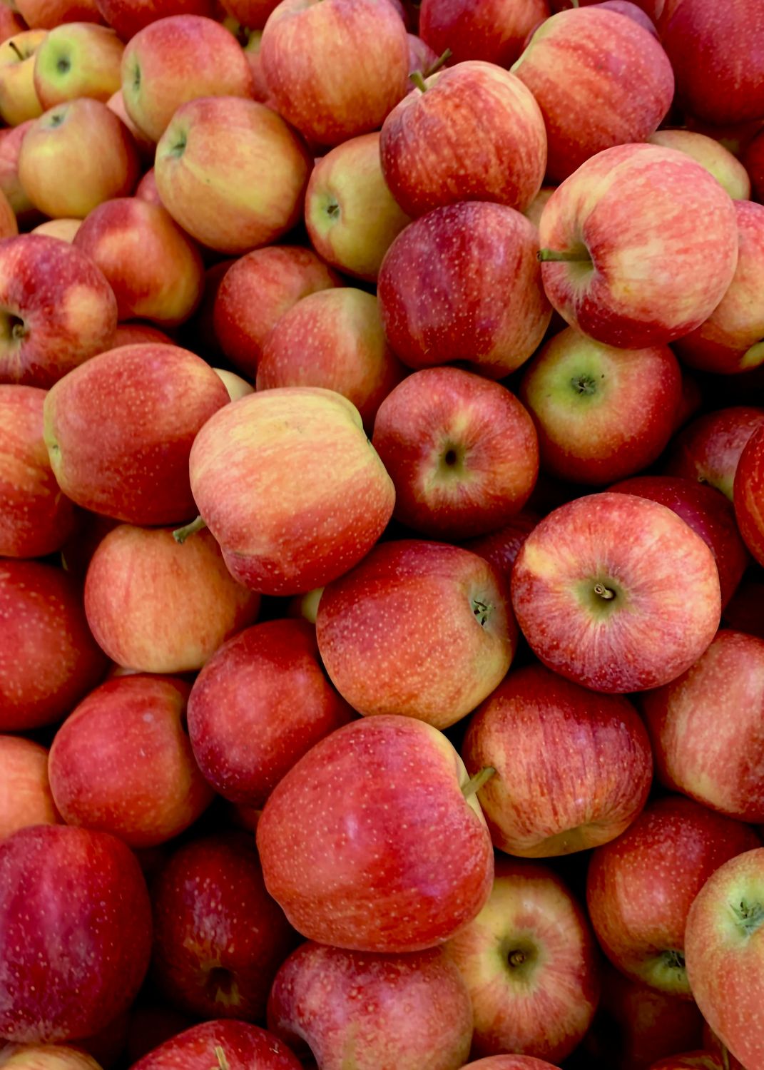 Kôso pommes cannelle