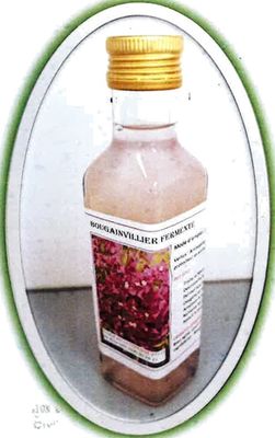BOUGAINVILLIER