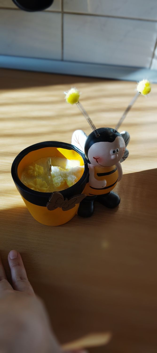 BEE GARDEN CANDEL 🐝🕯️