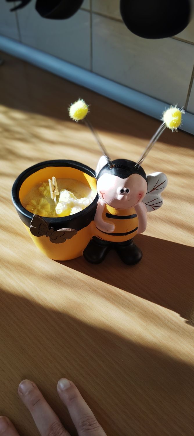 BEE GARDEN CANDEL 🐝🕯️