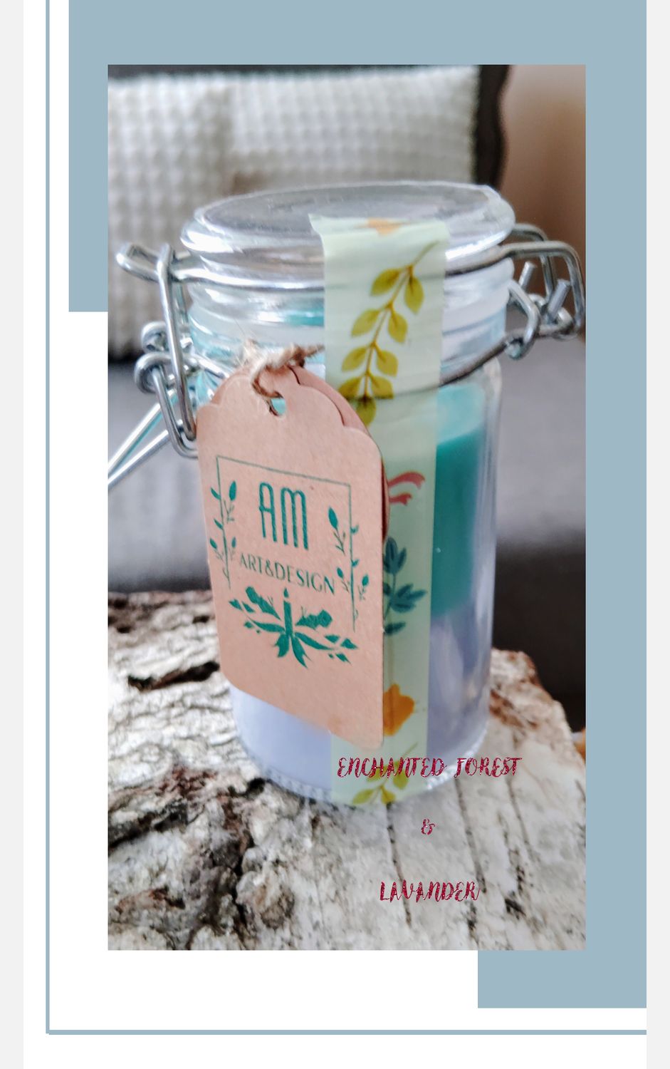 CANDELS2GO