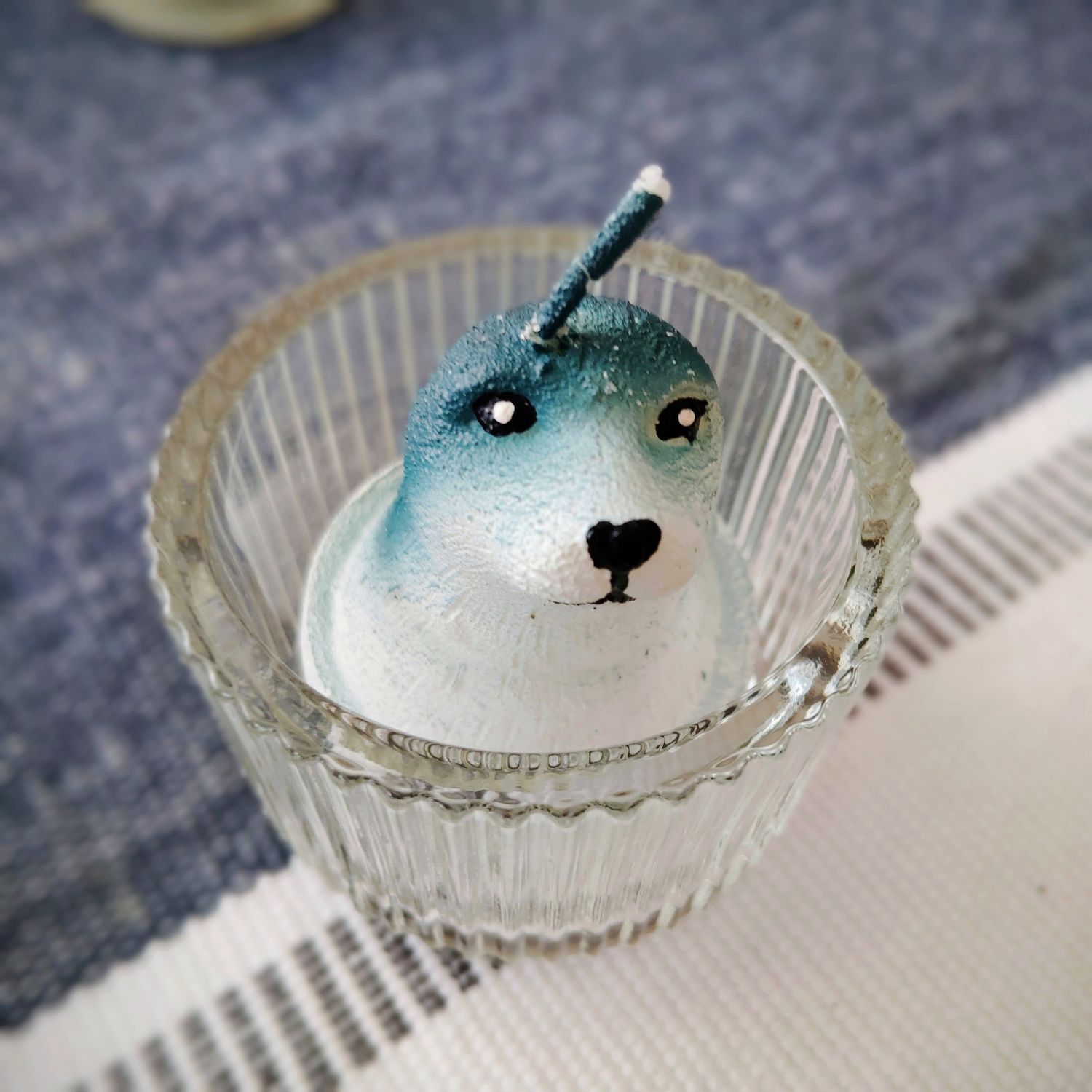 SEA LION 🌊🦭