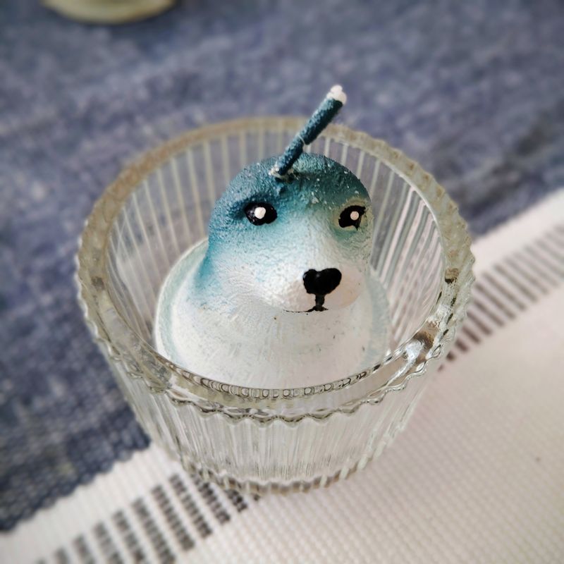 SEA LION 🌊🦭