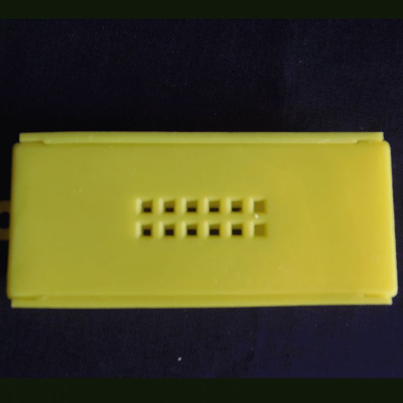 Queen Introduction Cage