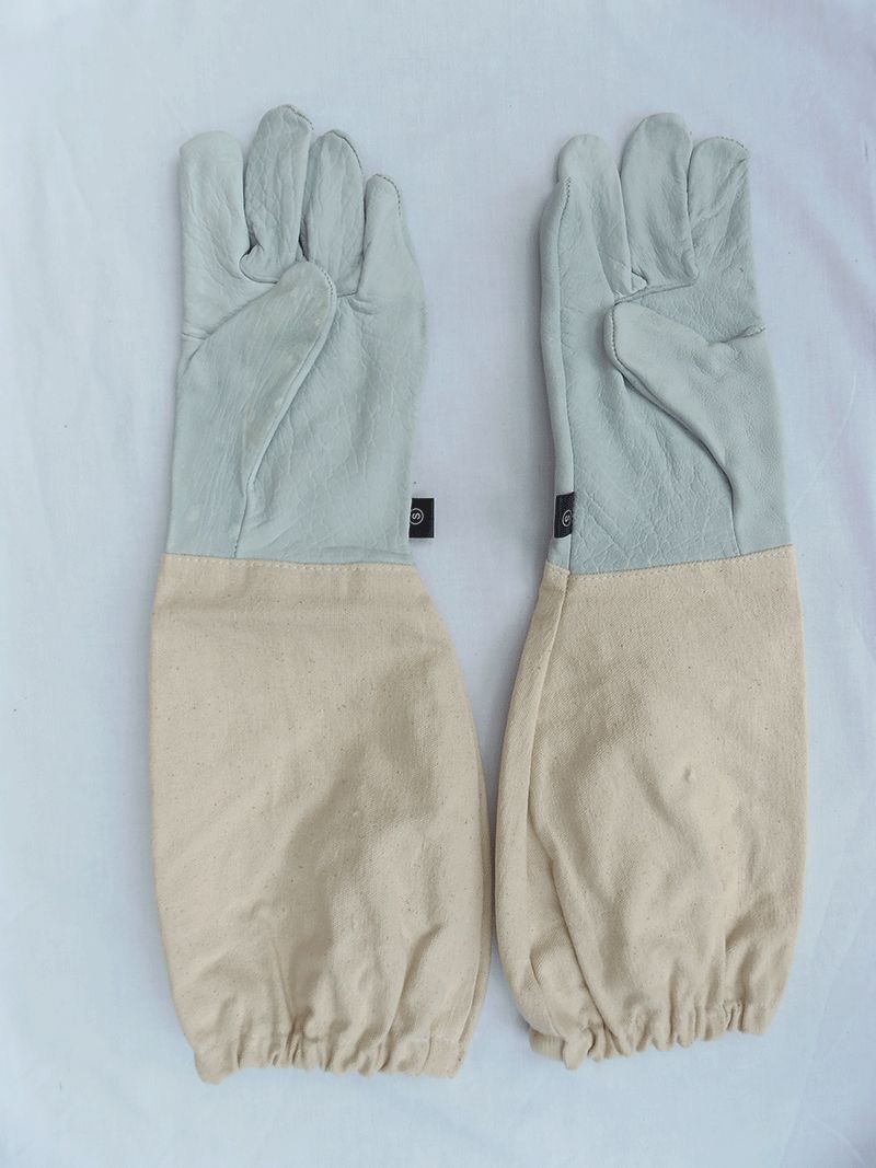 Leather Gloves