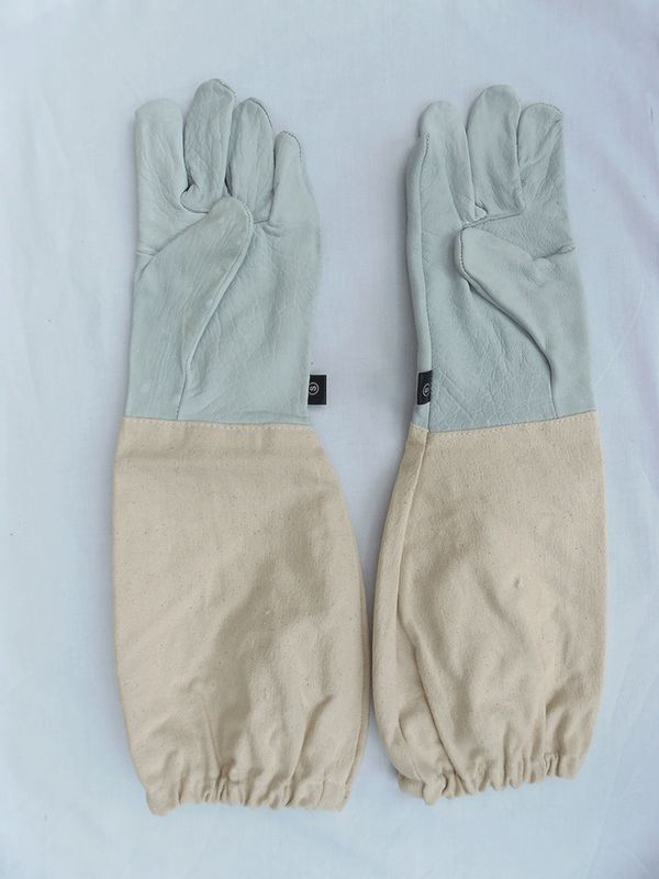 Leather Gloves