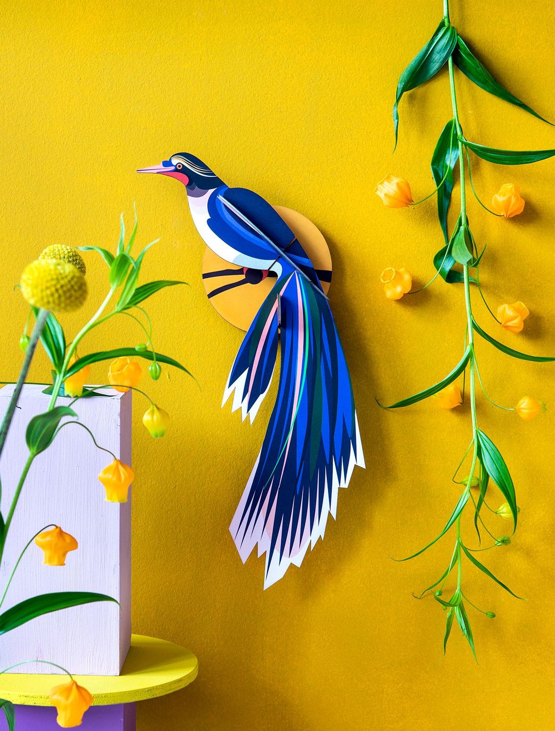 Paradise bird Flores