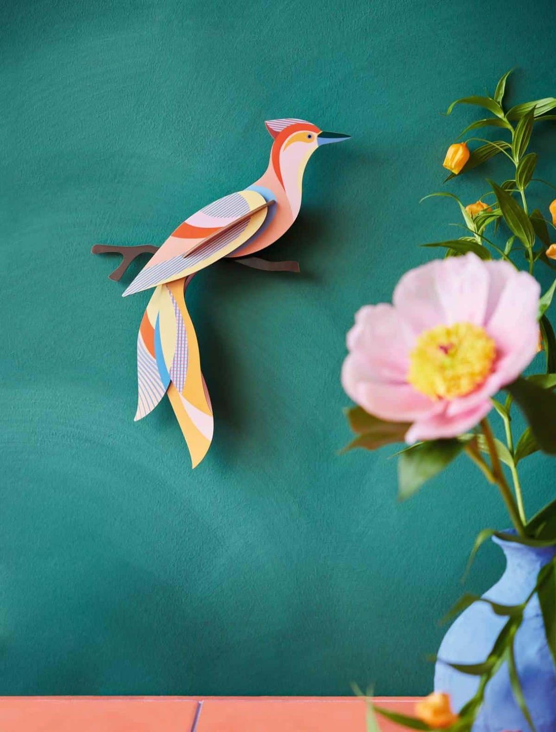Paradise bird Sabah