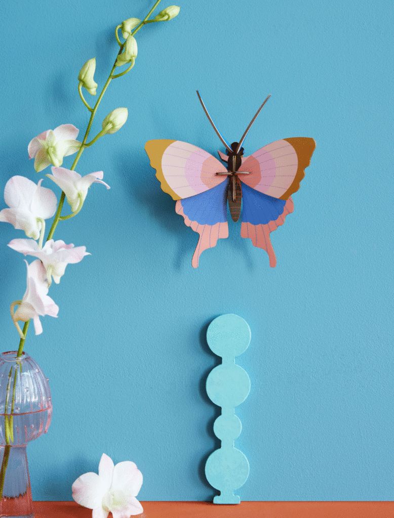 Gold rim butterfly
