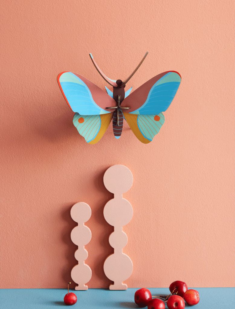 Claudina butterfly