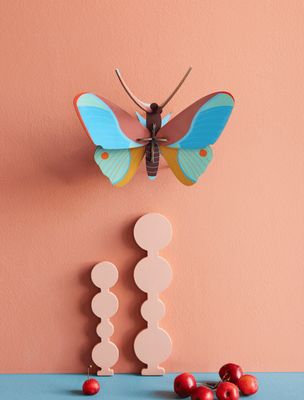 Claudina butterfly