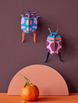 Coccinelle couple, set van 2.