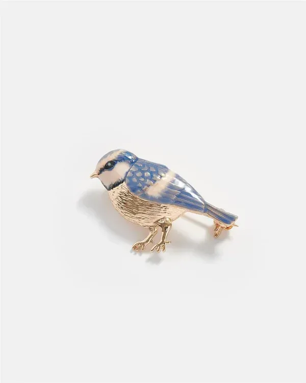 Fable broche Koolmeesje