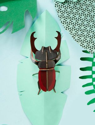Stag beetle