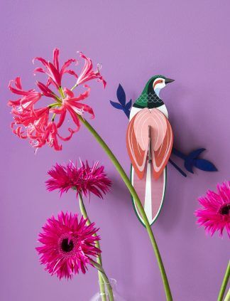 Paradise bird Rani