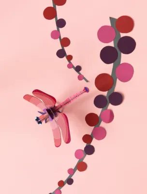 Ruby dragonfly