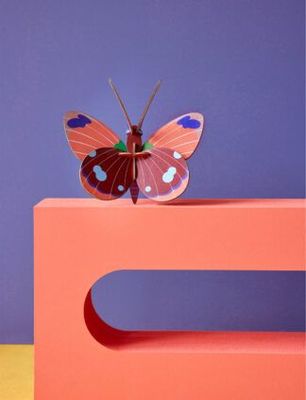 Delias butterfly