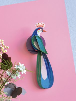 Paradise bird Banda