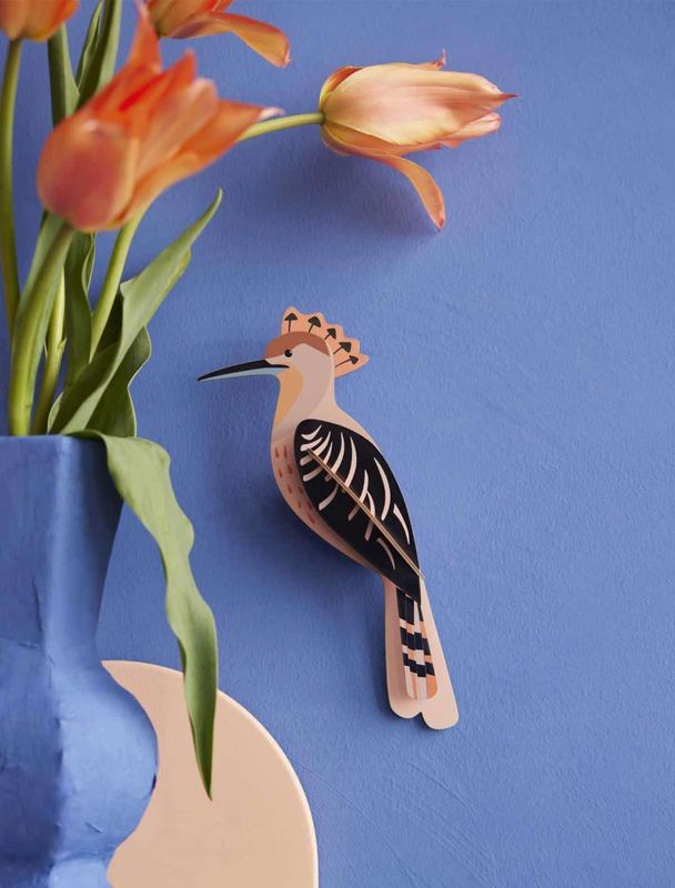 Hoopoe