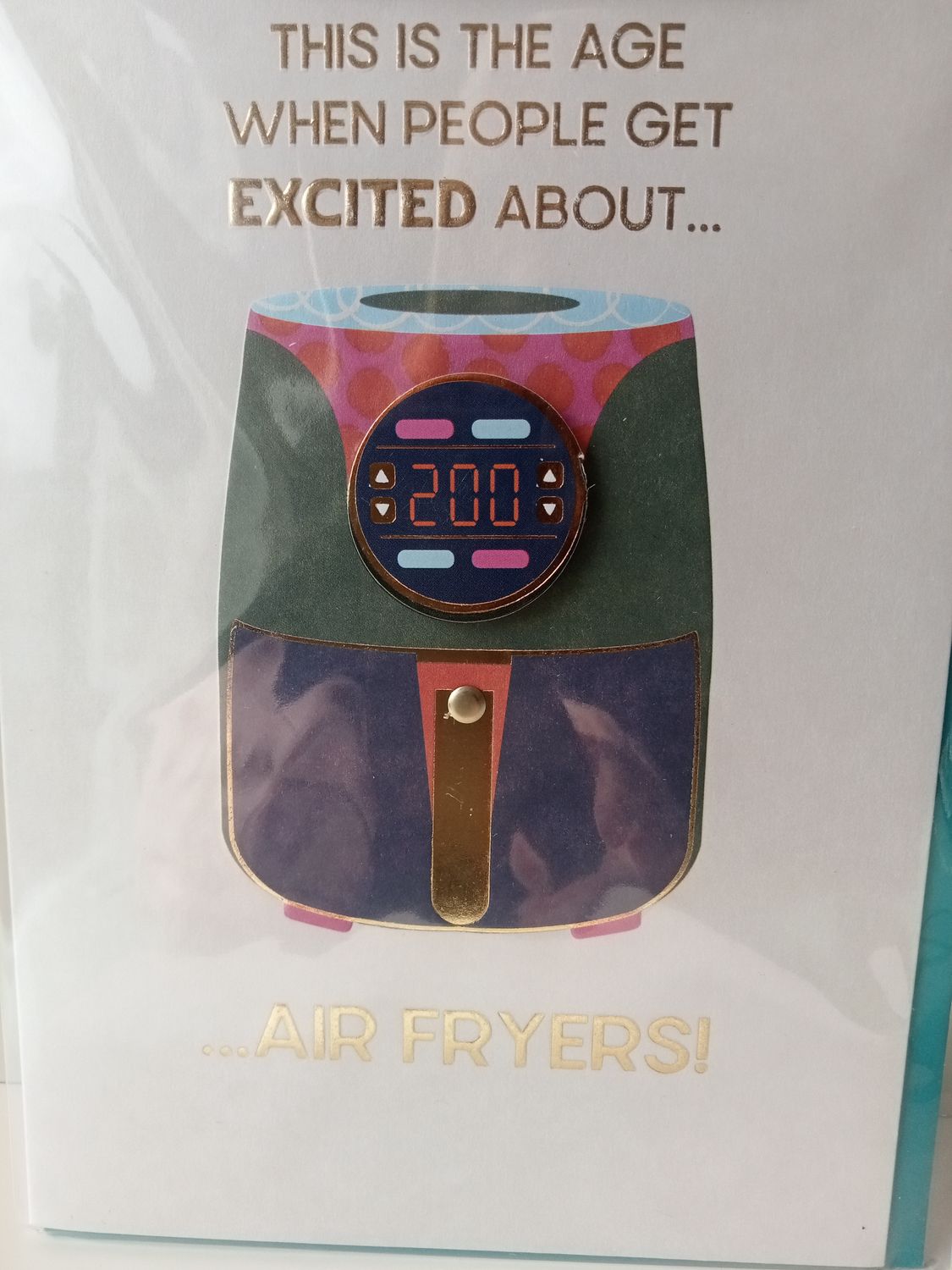 This is the age when people get excited about Air Fryers