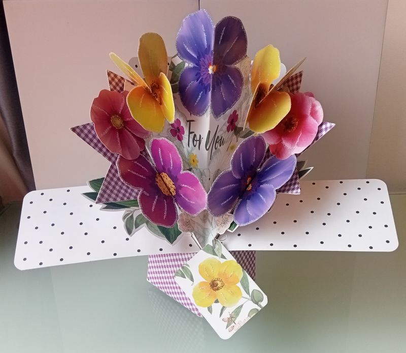 Poppy Blank Pop Up Card