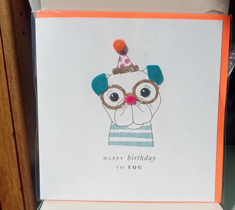 Happy Birthday to you - dog
