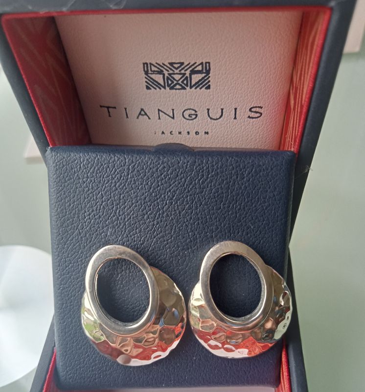Silver oval and hammered earrings