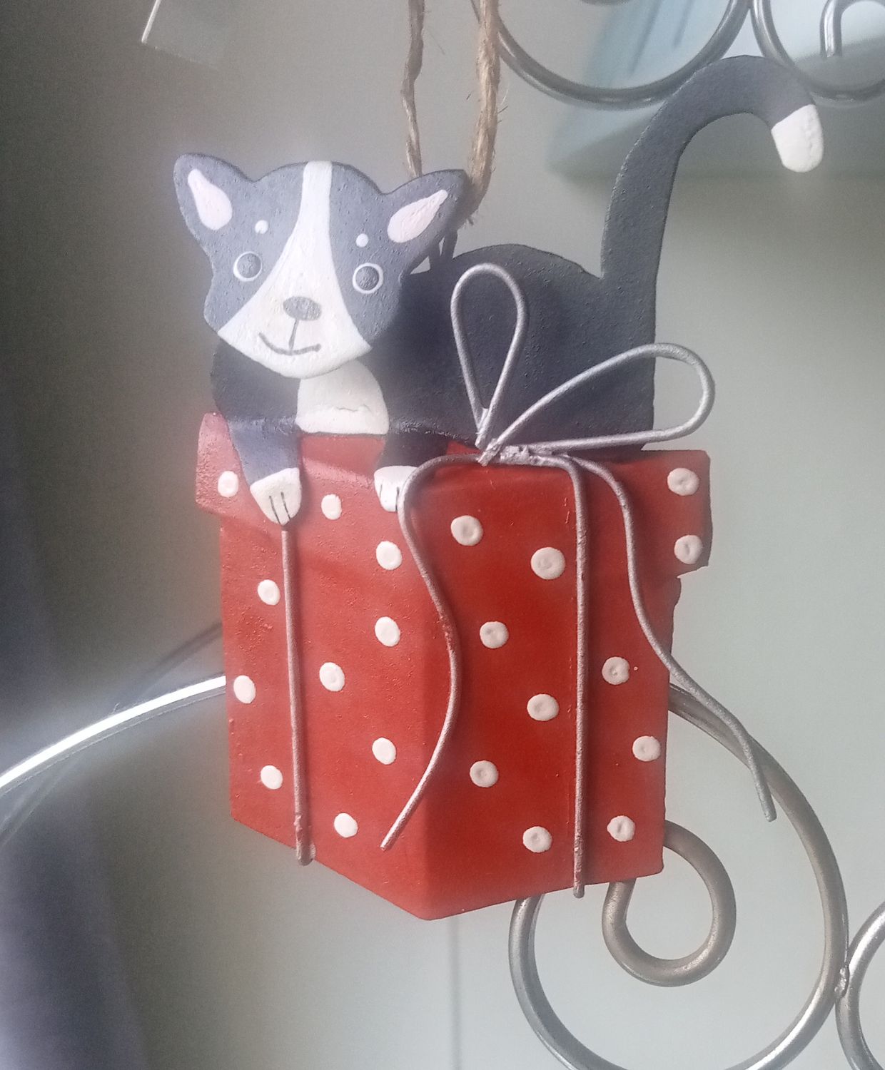 Black and white cat on red gift
