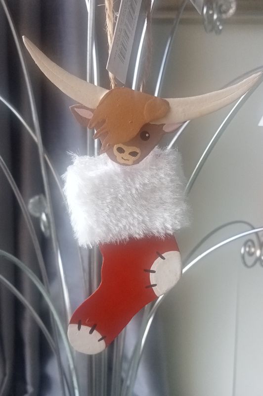 Coo in stocking