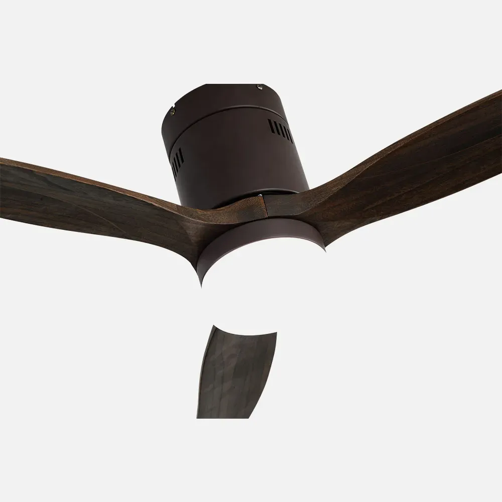 AGUILÓN MARRÓN LUZ