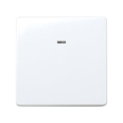 Cruzamiento 10 AX 250V~ con luminoso incorporado y sistema de embornamiento rápido blanco Simon 27 Play Cruzamiento 10 AX 250V~ con luminoso incorporado y sistema de embornamiento rápido blanco Simon 27 Play