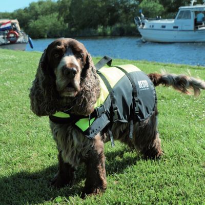 Besto Hondenzwemvest Deluxe
