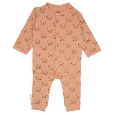 Boxpakje | Koala | Rust pink