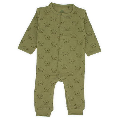 Boxpakje | Koala | Khaki