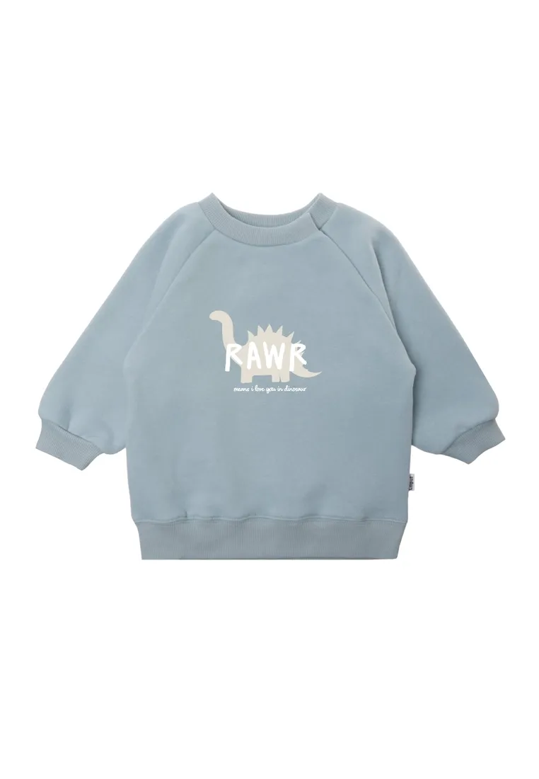 Sweatshirt &quot;Dinosaurus&quot;