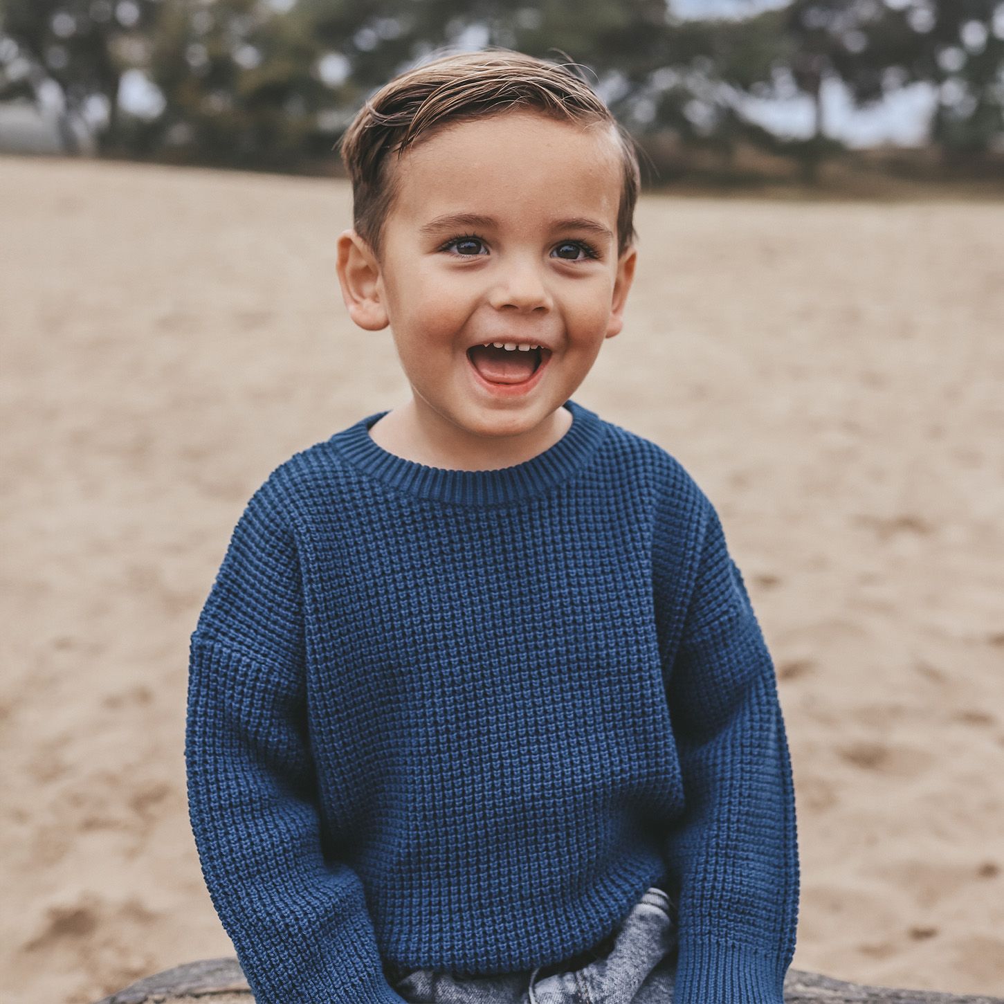 Knit | Chunky Sweater | Blue Wing Tale