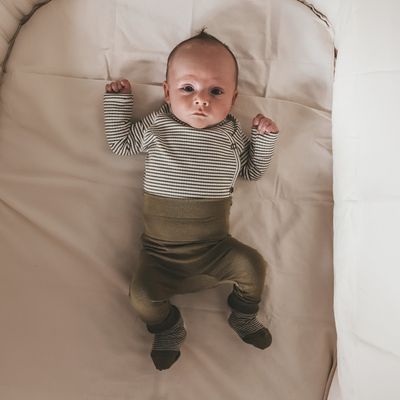 Solid | Fitted Pants