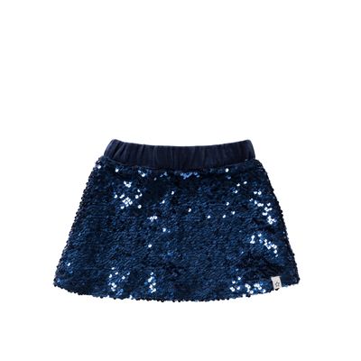 Sequin | Velvet Skirt