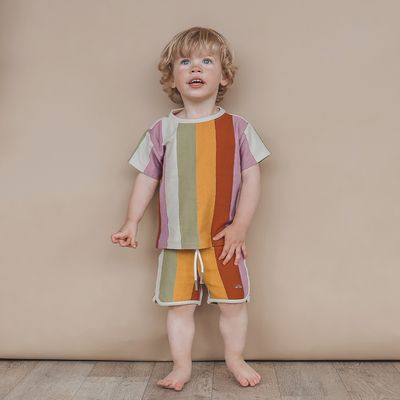 Multi Stripe | Regular Tee