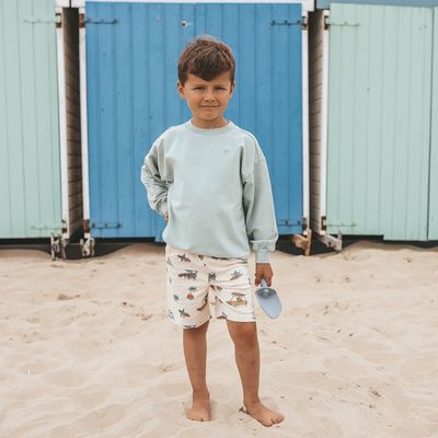 Ocean Life | Regular Shorts