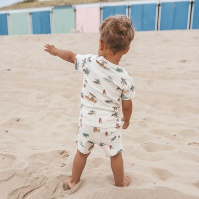 Ocean Life | Regular Shorts