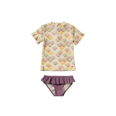 Shells | Set