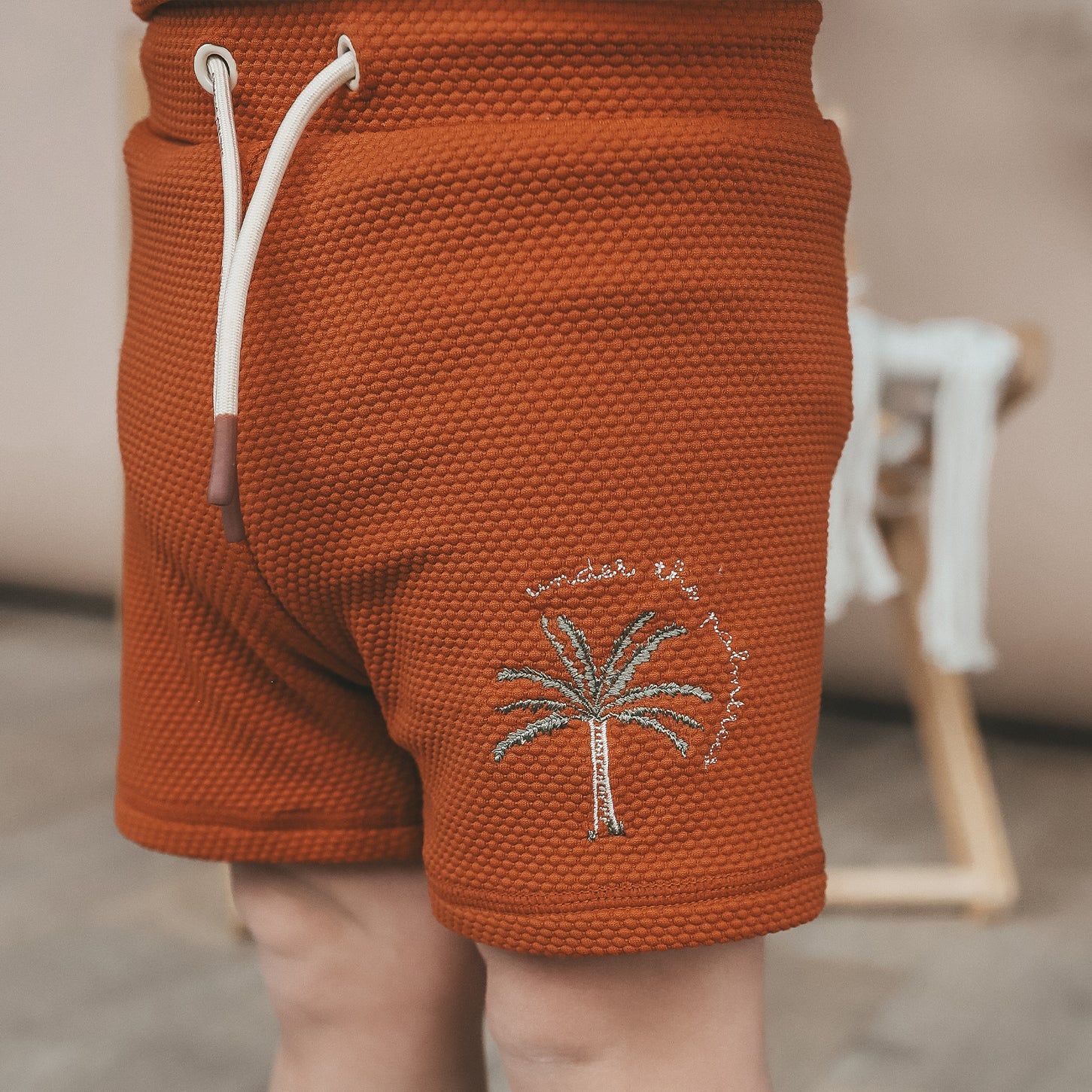 Solid | Swim Trunks | Bombay Brown