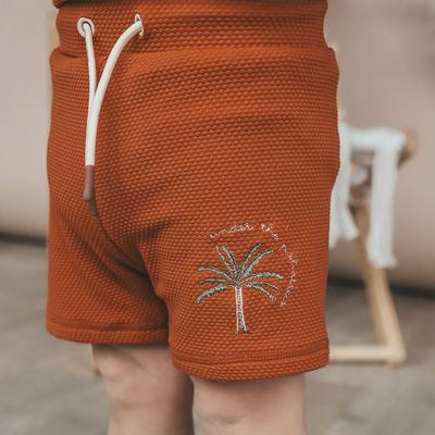 Solid | Swim Trunks | Bombay Brown