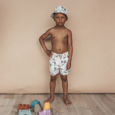 Sailing | Swim Shorts