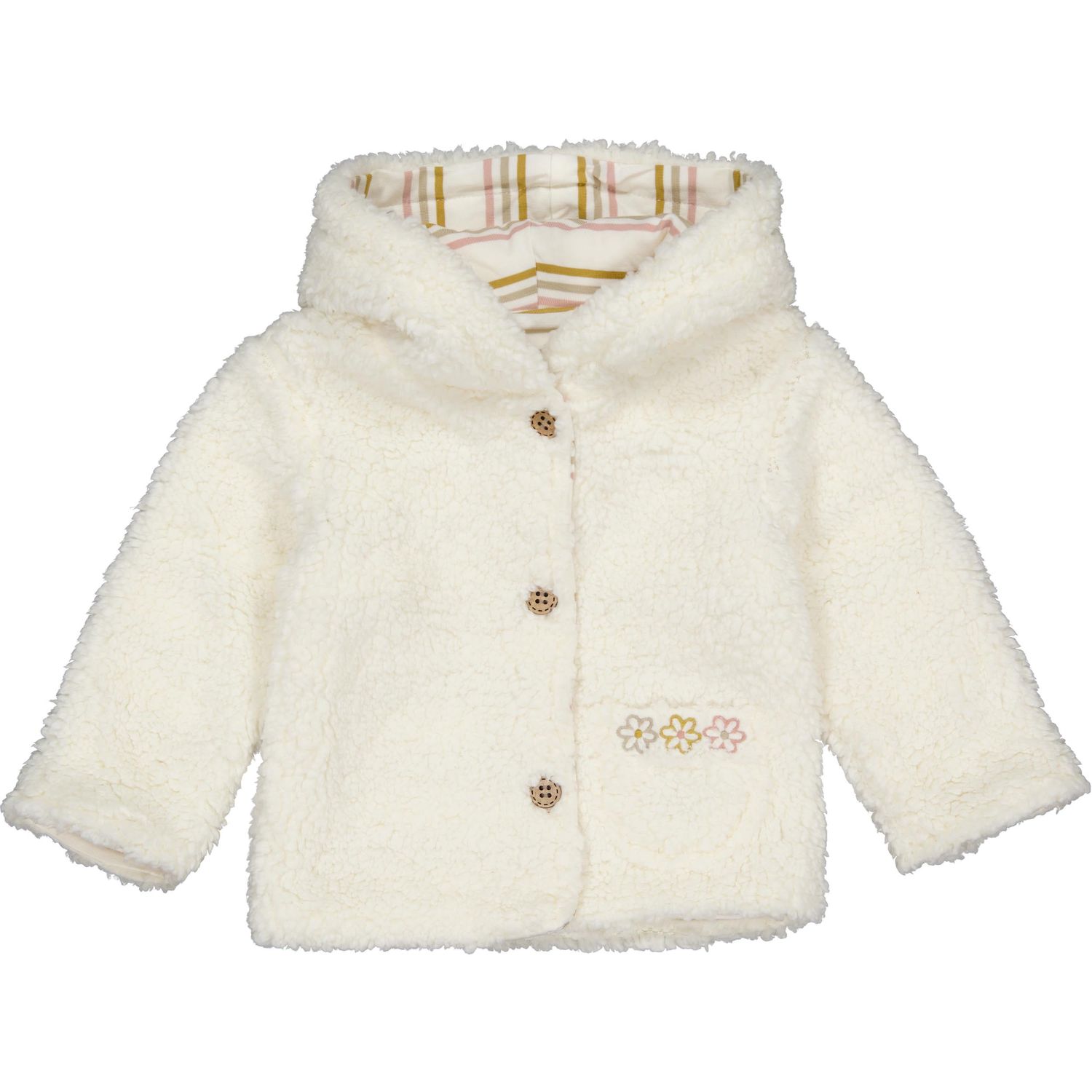 Teddy | Amalia