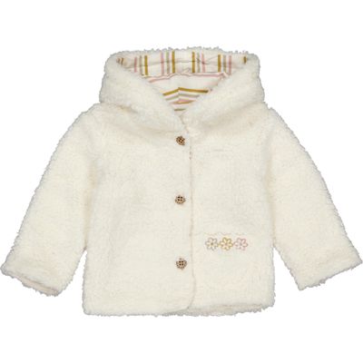 Teddy | Amalia